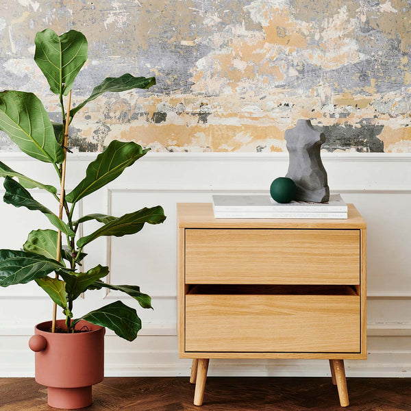 Dresser in Classic oak with 2 drawers single